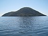 IMG_1811