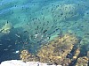 IMG_1818