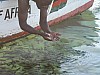 IMG_1825