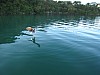 IMG_1836