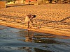 IMG_1859