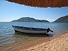 IMG_1910