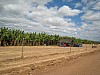 IMG_1393