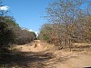 IMG_1411
