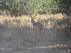 IMG_1430