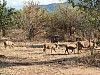 IMG_1432
