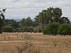 IMG_1446