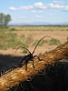 IMG_1476