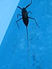 IMG_1478