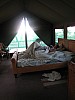 IMG_1486