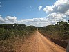 IMG_1545