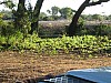 IMG_8360