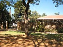 IMG_2295