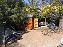 IMG_8915