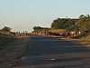 IMG_1568