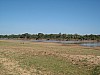 IMG_1602