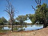 IMG_1616