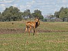IMG_1623