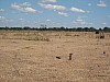 IMG_1628