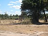 IMG_1631