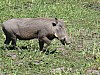 IMG_1638