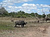 IMG_1643