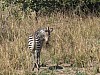 IMG_1652
