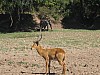 IMG_1659