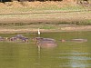 IMG_1668