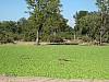 IMG_1682