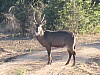 IMG_1695