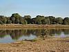 IMG_1696