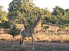 IMG_1699