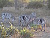 IMG_1702