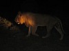 IMG_1717
