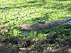 IMG_8505