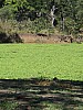 IMG_8507