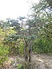 IMG_1950