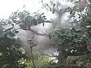 IMG_1951