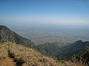 IMG_1989