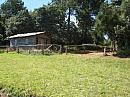 IMG_2013