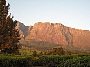 IMG_2065