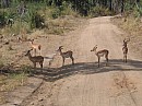 IMG_8669
