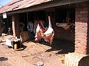 IMG_8719