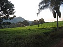 IMG_8767