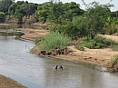 IMG_1746
