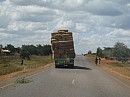 IMG_1764