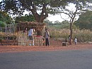 IMG_8609