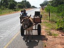 IMG_2227