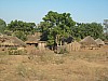 IMG_2081